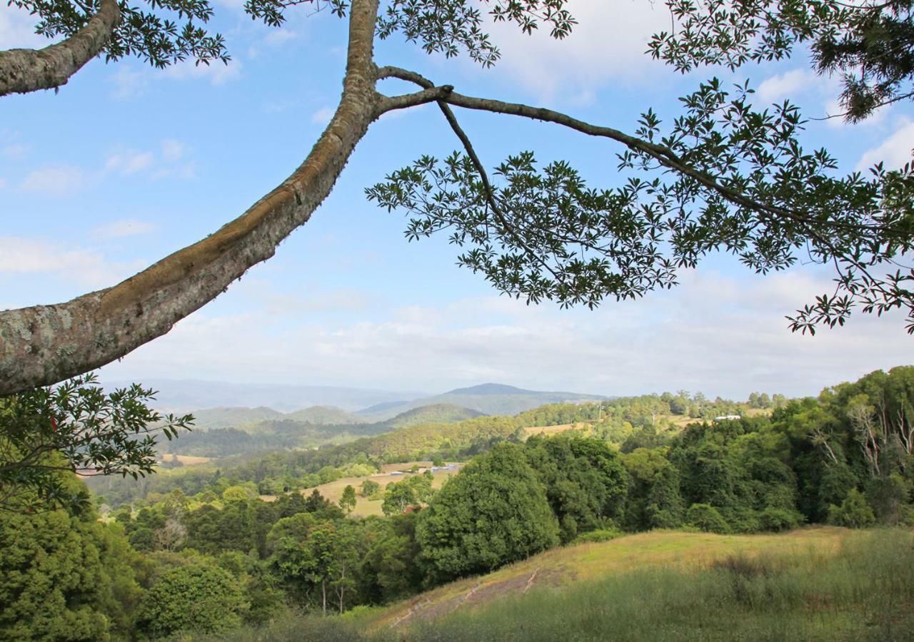 Апартаменты Maleny Hinterland Escape Witta Экстерьер фото