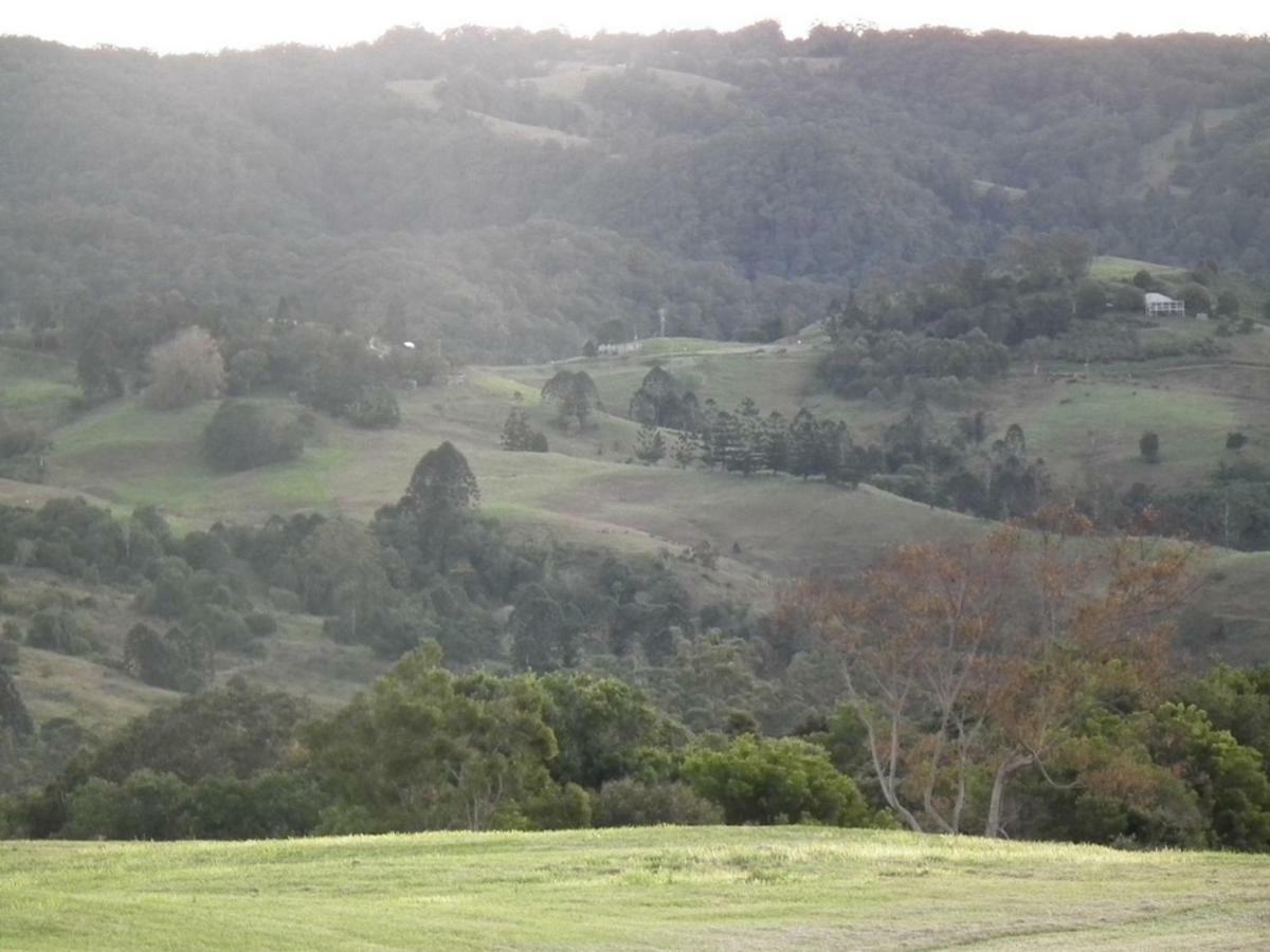 Апартаменты Maleny Hinterland Escape Witta Экстерьер фото